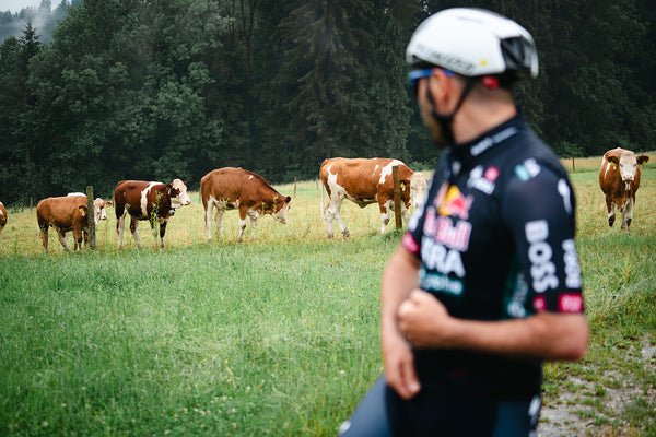 Passion for cycling Shop